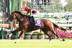 三冠牝馬、予後不良で逝く・・・。