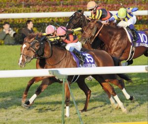 七冠牝馬「鬼婦人」ジェンティルドンナ逝く！
